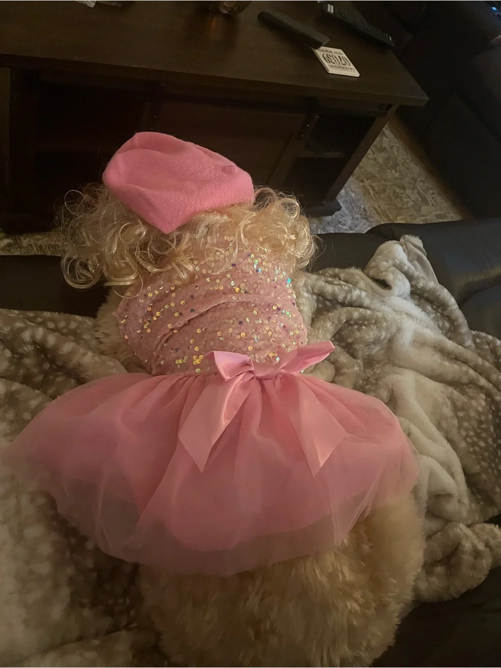 N/A barbie charming